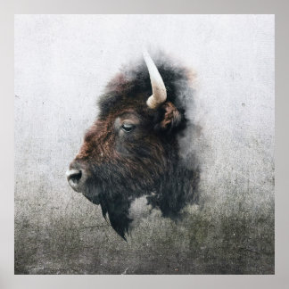 Majestic Bison Portrait Poster