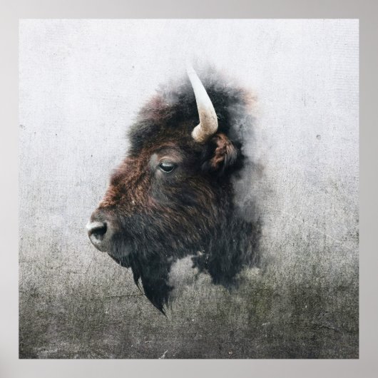 Majestic Bison Portrait Poster (Vorne)