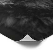 Majestic Black and White Wolf Portrait Poster (Ecke)