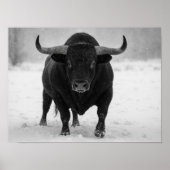 Majestic Black Bull im Winterschneefeld Poster (Vorne)