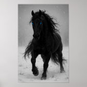 Majestic Black Hallion in Dreamy Winter Landschaft Poster (Vorne)