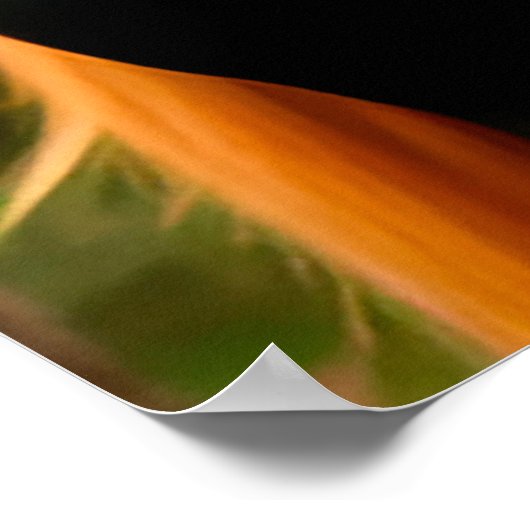 Majestic Black Horse mit blühender Mane Poster (Ecke)