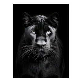 Majestic Black Panther Portrait Poster