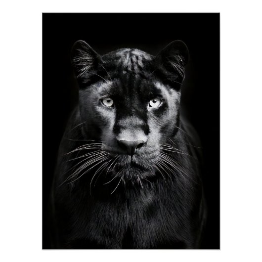 Majestic Black Panther Portrait Poster (Vorderseite)