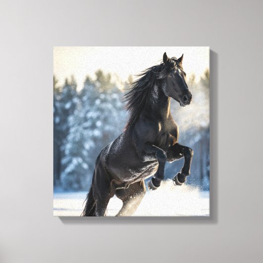 Majestic Black Stallion in Winter Snow  Leinwanddruck (Vorderseite)