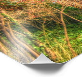 Majestic Black Walnut Tree Fotodruck (Ecke)