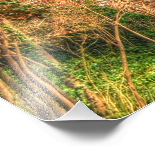 Majestic Black Walnut Tree Fotodruck (Ecke)