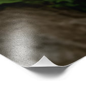 Majestic Blossom Canopy Garden Path Fotodruck (Ecke)