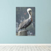 Majestic Brown Pelican auf Holzpfosten Leinwanddruck (Insitu (Holzboden))