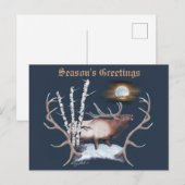 Majestic Bull Elk Postkarte (Vorne/Hinten)