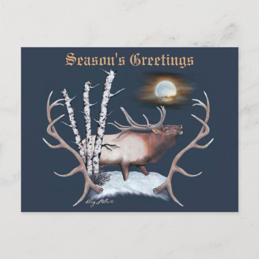 Majestic Bull Elk Postkarte (Vorderseite)