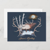Majestic Bull Elk Postkarte (Vorne/Hinten)