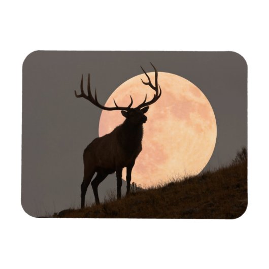 Majestic Bull Elk und Vollmond-Aufstieg Magnet (Horizontal)