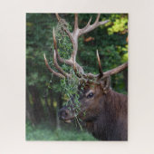 Majestic Bull Elk zeigt sich für die Kühe Puzzle (Vertikal)