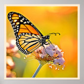 Majestic Butterfly Nahes Design Poster (Vorne)