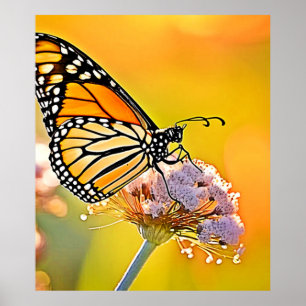 Majestic Butterfly Nahes Design Poster