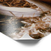 Majestic Clydesdale Fotodruck (Ecke)