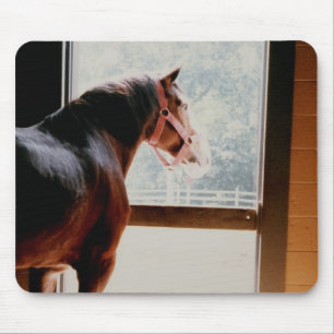 Majestic Clydesdale Mousepad