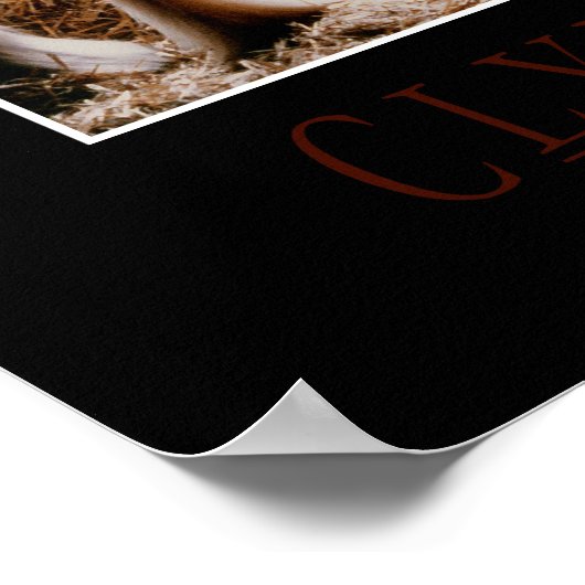 Majestic Clydesdale Poster (Ecke)