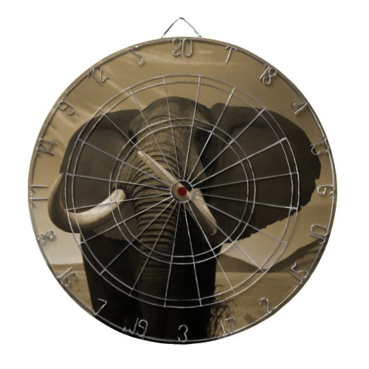 Majestic Dartscheibe (vorne)