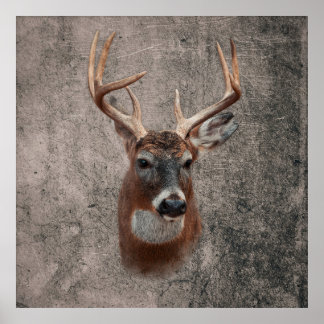 Majestic Deer Against Rustic Background Poster