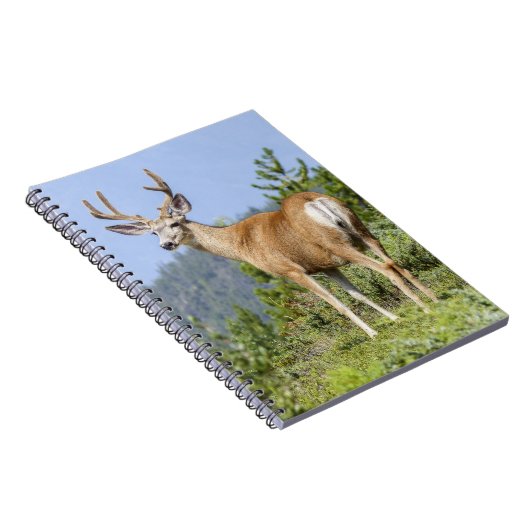 Majestic Deer Notizblock (Rechte Seite)