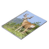 Majestic Deer Notizblock (Linke Seite)