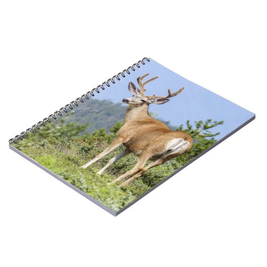 Majestic Deer Notizblock (Linke Seite)