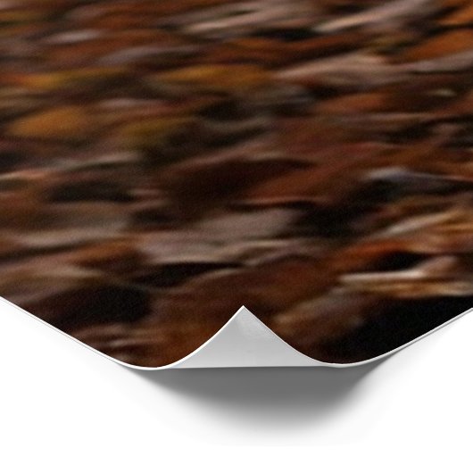 Majestic Deer Poster