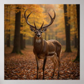 Majestic Deer Poster