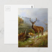 Majestic Deer ~ Postkarte (Vorne/Hinten)