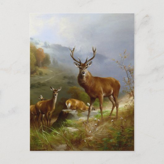 Majestic Deer ~ Postkarte (Vorderseite)