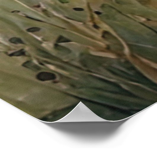 Majestic Dei im Herbst Poster (Ecke)