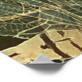 Majestic Dragonfly Pattern Poster (Ecke)