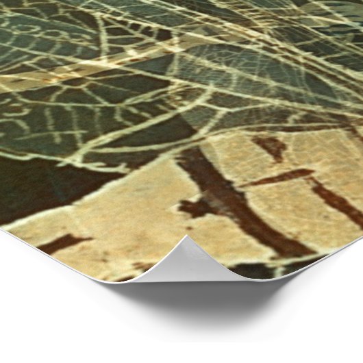 Majestic Dragonfly Pattern Poster (Ecke)