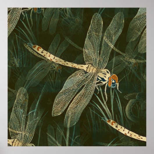 Majestic Dragonfly Pattern Poster (Vorne)