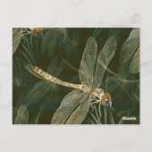 Majestic Dragonfly Pattern Postkarte (Rückseite)