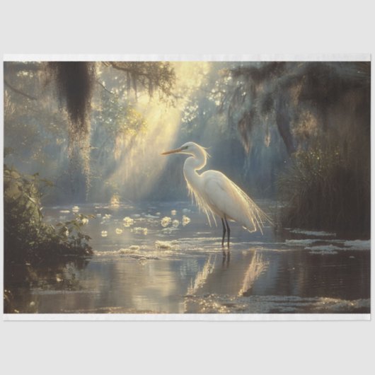 Majestic Egret Stehend in einem sonnigen Sumpf Seidenpapier (Vorderseite)