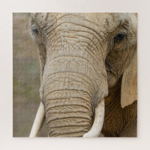 Majestic Elephant Nah-Up Nature's Riesen Puzzle