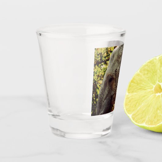 Majestic Elephant Schnapsglas (Links)