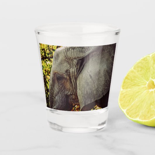 Majestic Elephant Schnapsglas (Vorderseite)