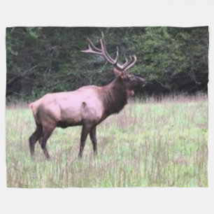 MAJESTIC ELK FLEECEDECKE
