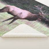 MAJESTIC ELK SHERPADECKE (3/4)