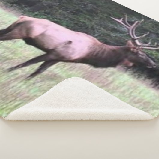 MAJESTIC ELK SHERPADECKE (3/4)