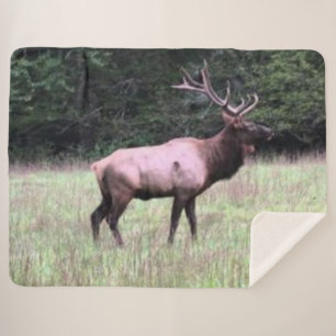 MAJESTIC ELK SHERPADECKE