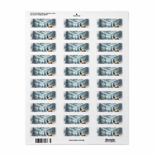 Majestic Elk steht inmitten schneebedeckter Berge (Vorne)