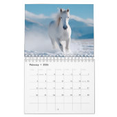 Majestic Equine Year 2026: Saison des Pferdes Kalender (Feb 2026)