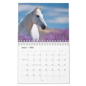 Majestic Equine Year 2026: Saison des Pferdes Kalender (Mär 2026)