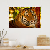 Majestic Face Poster (Küche)