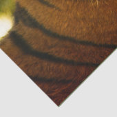 Majestic Face Seidenpapier (Detail)